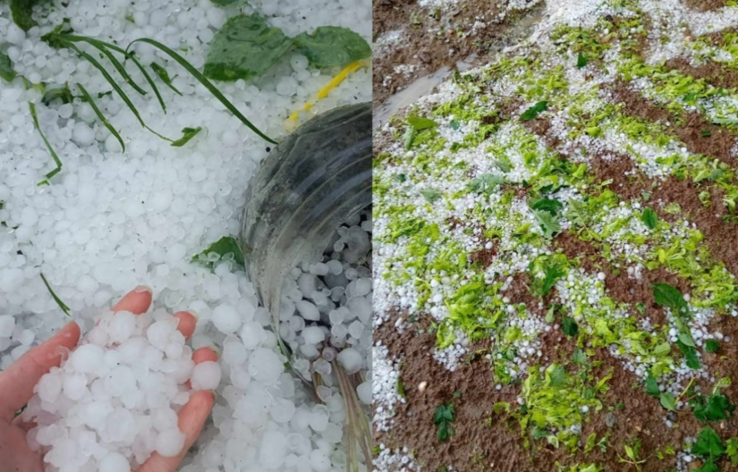 Jako nevrijeme praćeno gradom i vjetrom pogodilo dijelove BiH, usjevi uništeni za pet minuta Jako nevrijeme praćeno gradom i vjetrom pogodilo dijelove BiH, usjevi uništeni za pet minuta