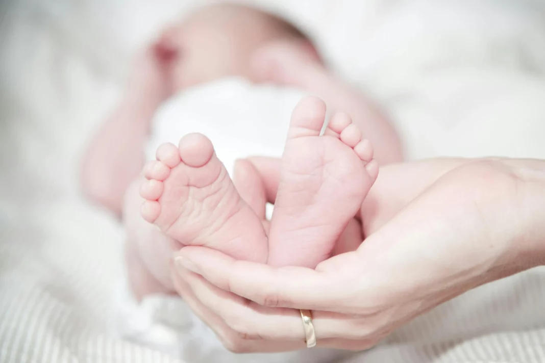 Servisne informacije: Rođeno osam beba Servisne informacije: Rođeno osam beba