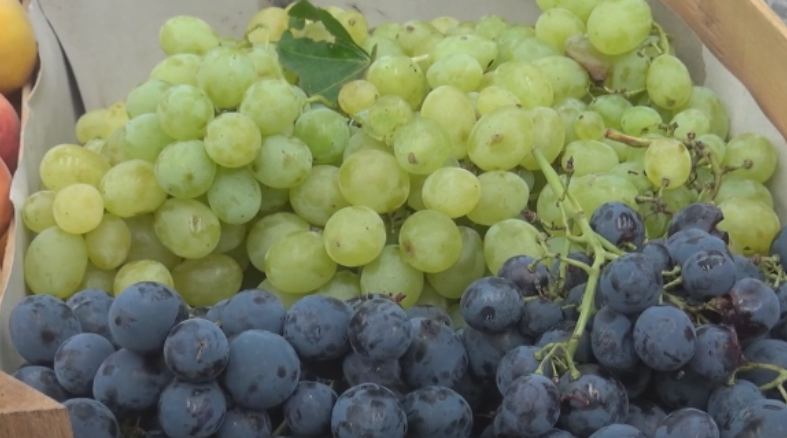 Pojačana kontrola uvoza grožđa, breskvi i mandarina u BiH: Sumnja se na opasne pesticide Pojačana kontrola uvoza grožđa, breskvi i mandarina u BiH: Sumnja se na opasne pesticide