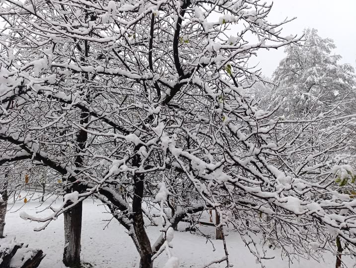 Sladić upozorava: Padavine jačeg intenziteta, stižu ekstremni minusi – temperature i do -20°C Sladić upozorava: Padavine jačeg intenziteta, stižu ekstremni minusi – temperature i do -20°C