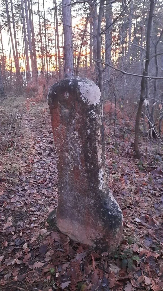 Piše: dr. sc. Suadin Strašević – „Djevojački kamen“ na Mramoru (Planina Vijenac, sa šumama Svatovca i Dubrave. „Planina duhovnosti“ II.) Piše: dr. sc. Suadin Strašević – „Djevojački kamen“ na Mramoru (Planina Vijenac, sa šumama Svatovca i Dubrave. „Planina duhovnosti“ II.)