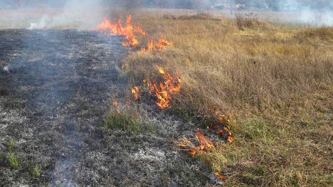 U Tojšićima gorjelo 10 duluma trave i niskog rastinja, vatra zahvatila i pola duluma pšenice U Tojšićima gorjelo 10 duluma trave i niskog rastinja, vatra zahvatila i pola duluma pšenice