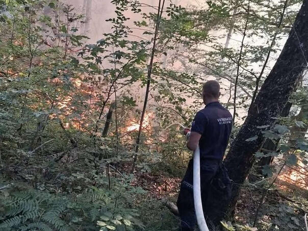 Požari ponovo aktivni na području Kladnja, intervencije u još tri grada Požari ponovo aktivni na području Kladnja, intervencije u još tri grada