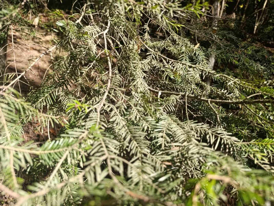 Kakvo nas vrijeme očekuje danas? Kakvo nas vrijeme očekuje danas?