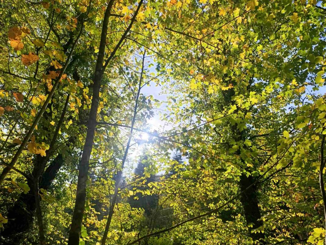 Vrijeme danas: Pretežno sunčano Vrijeme danas: Pretežno sunčano